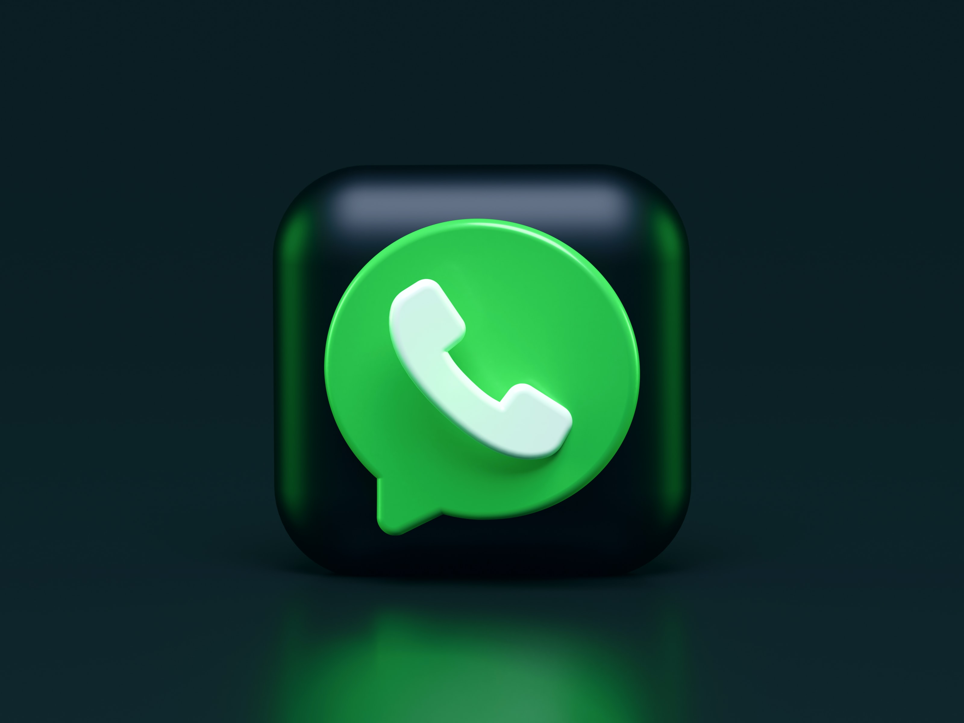 WhatsApp Business integration